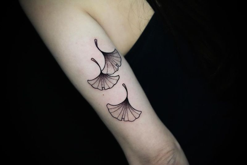 Travail de Adrian Rose