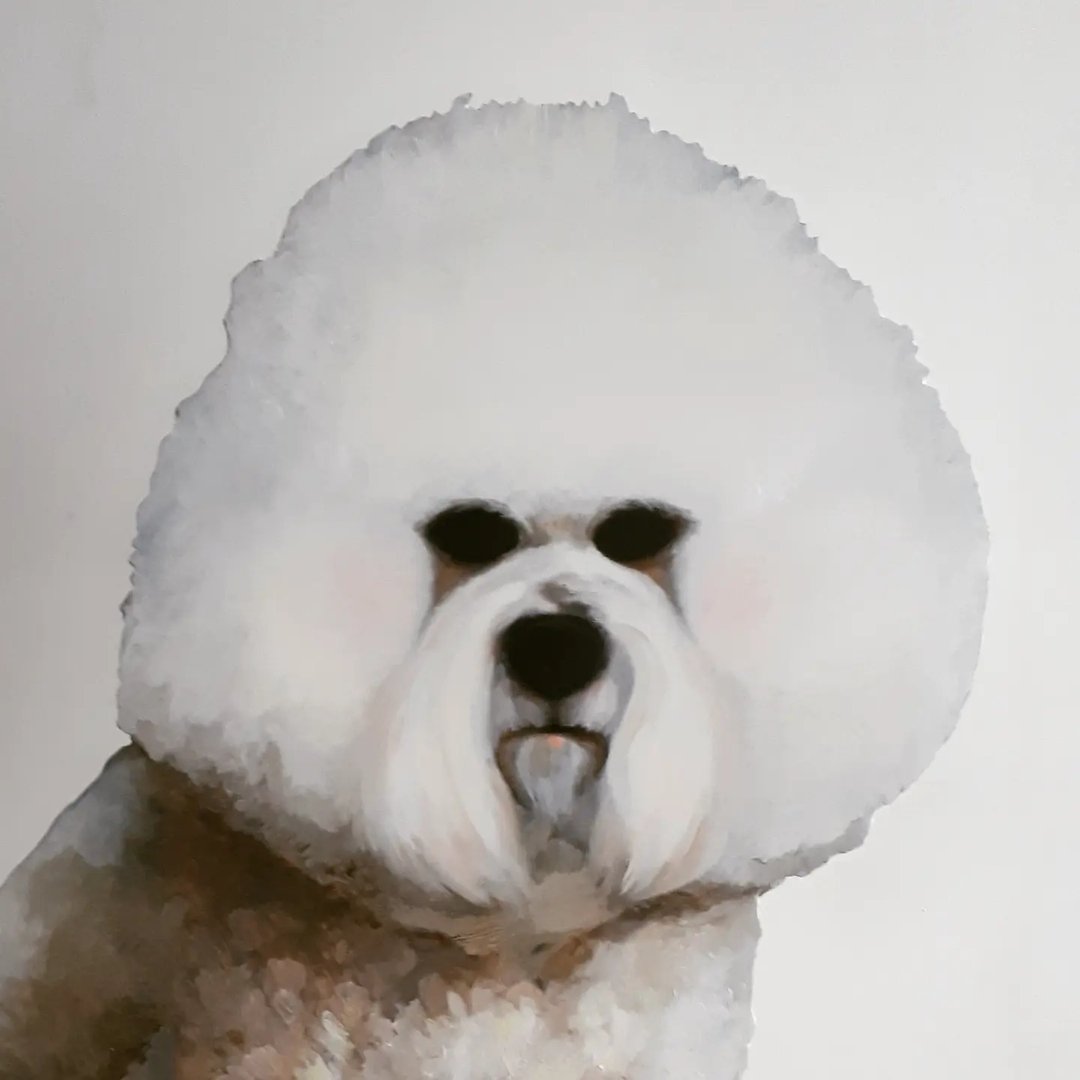 Bichon Estibab