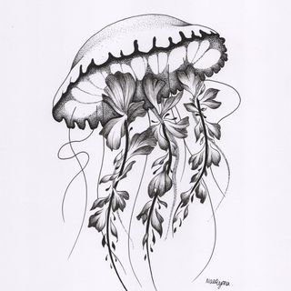 Naeryma