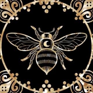 Ꮇꭺꭹꭺ Ꮩꮖᏼ'ꮓ