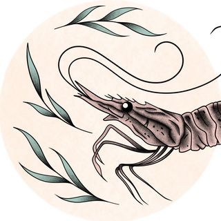 Crevette DES Caraïbes