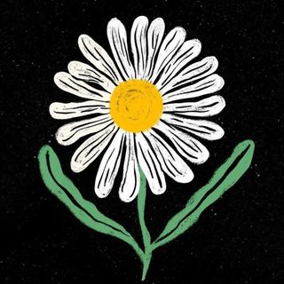 Camille Cauvez Cam Cvz Illustratrice