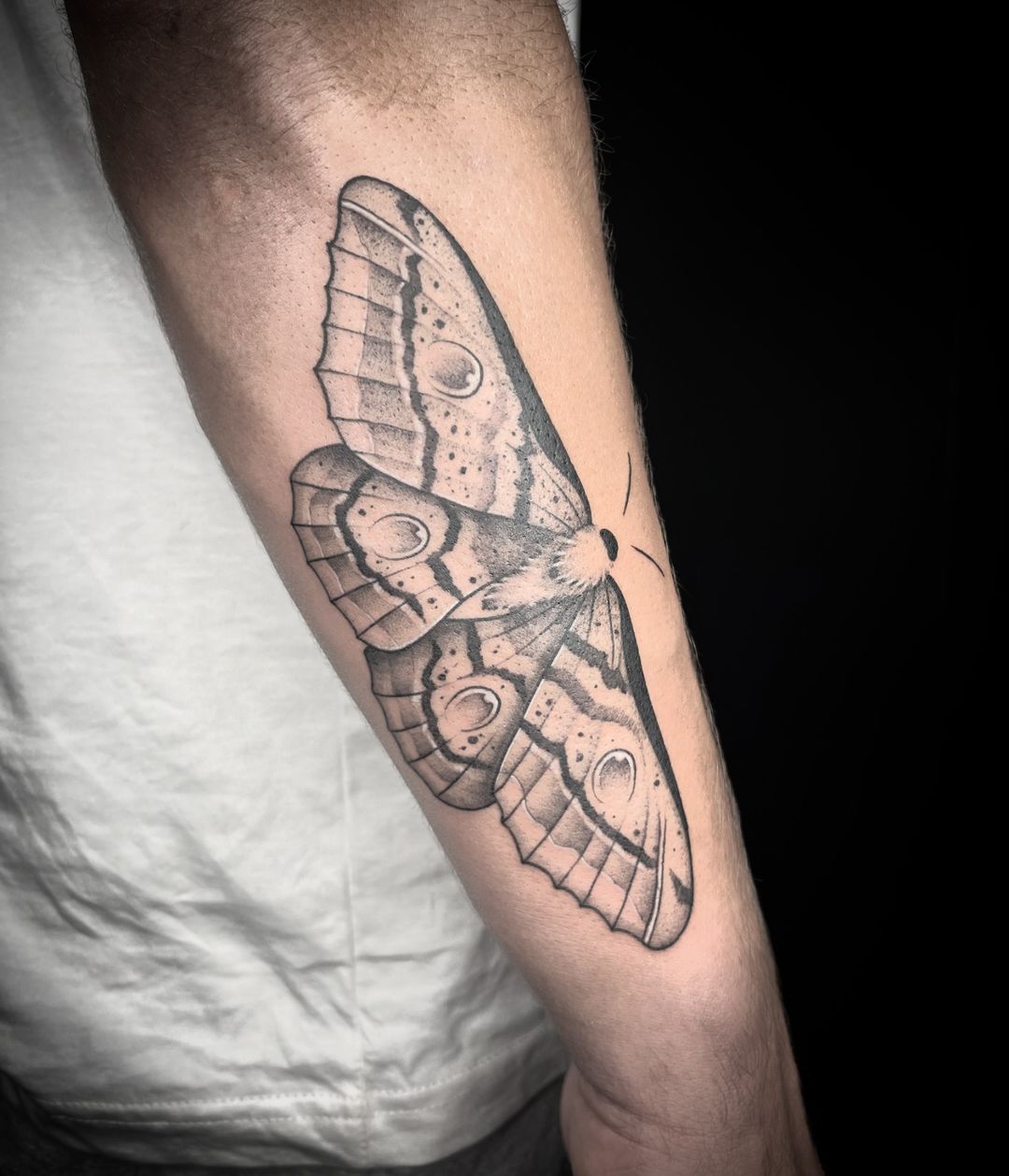 Portfolio de KD.Tattooer