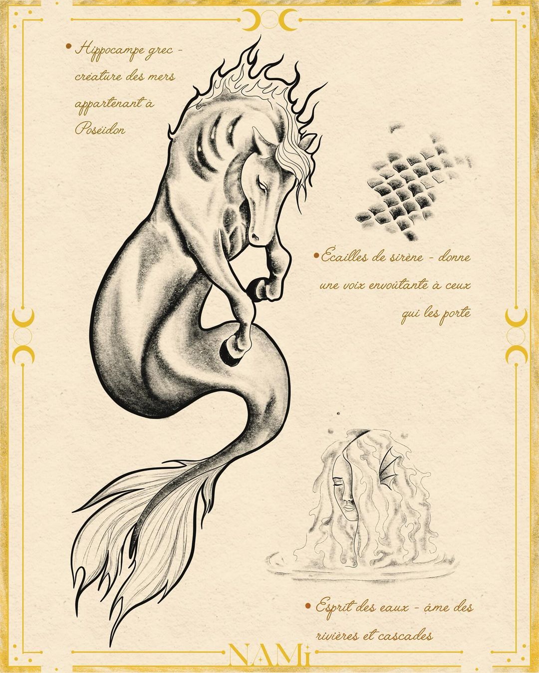Portfolio de Nami