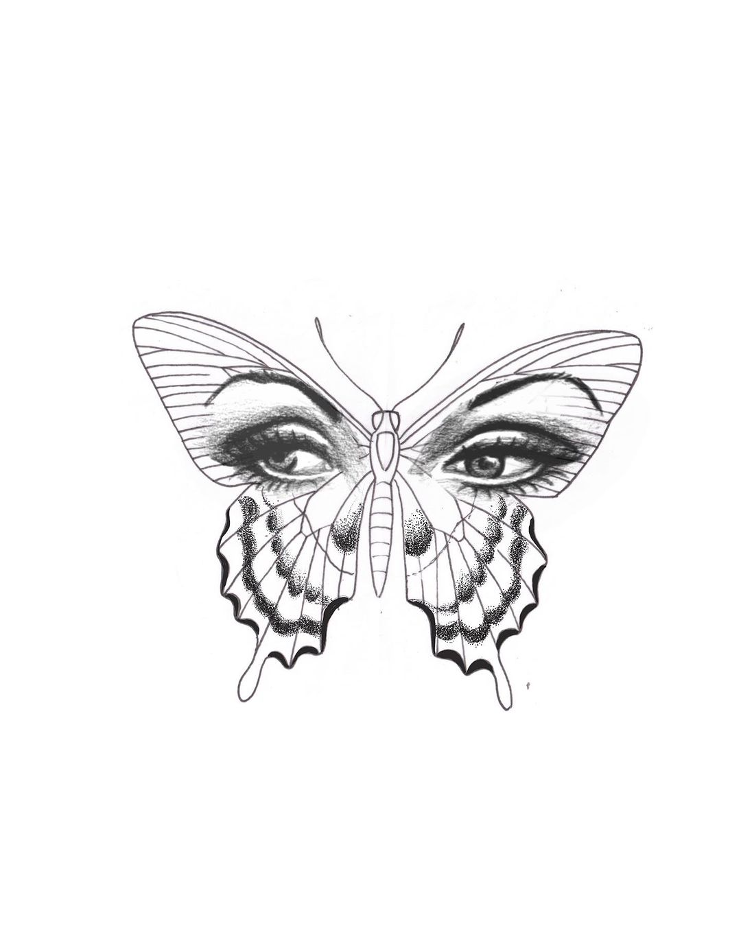 Portfolio de Karotte
