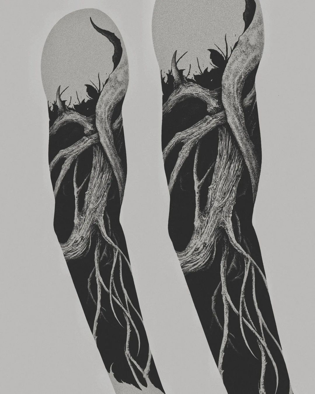 Portfolio de Remy Noiraugure