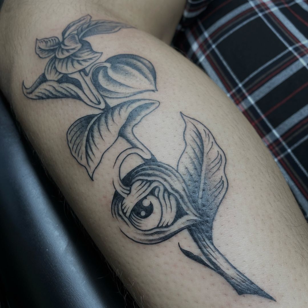 Portfolio de OLL