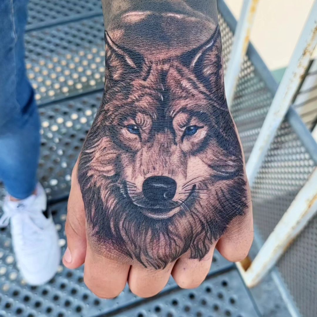 Portfolio de Diogo