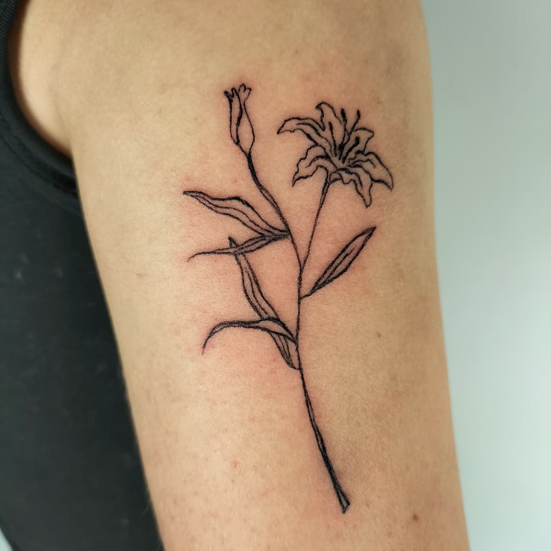 Portfolio de Lena