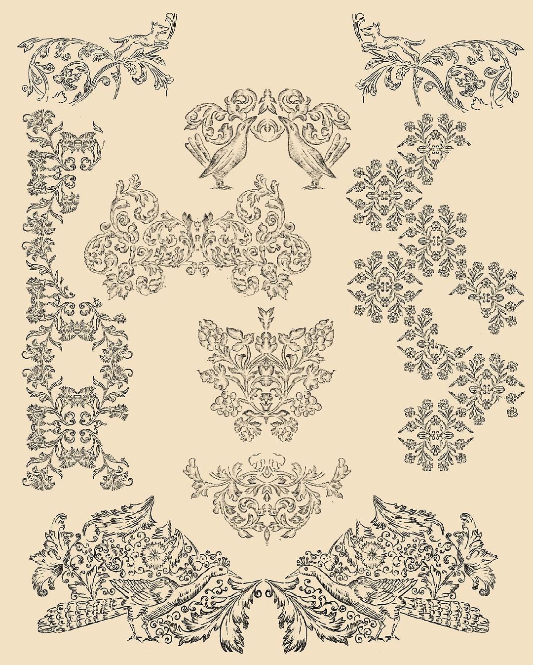 Portfolio de Loraine Grrrêle