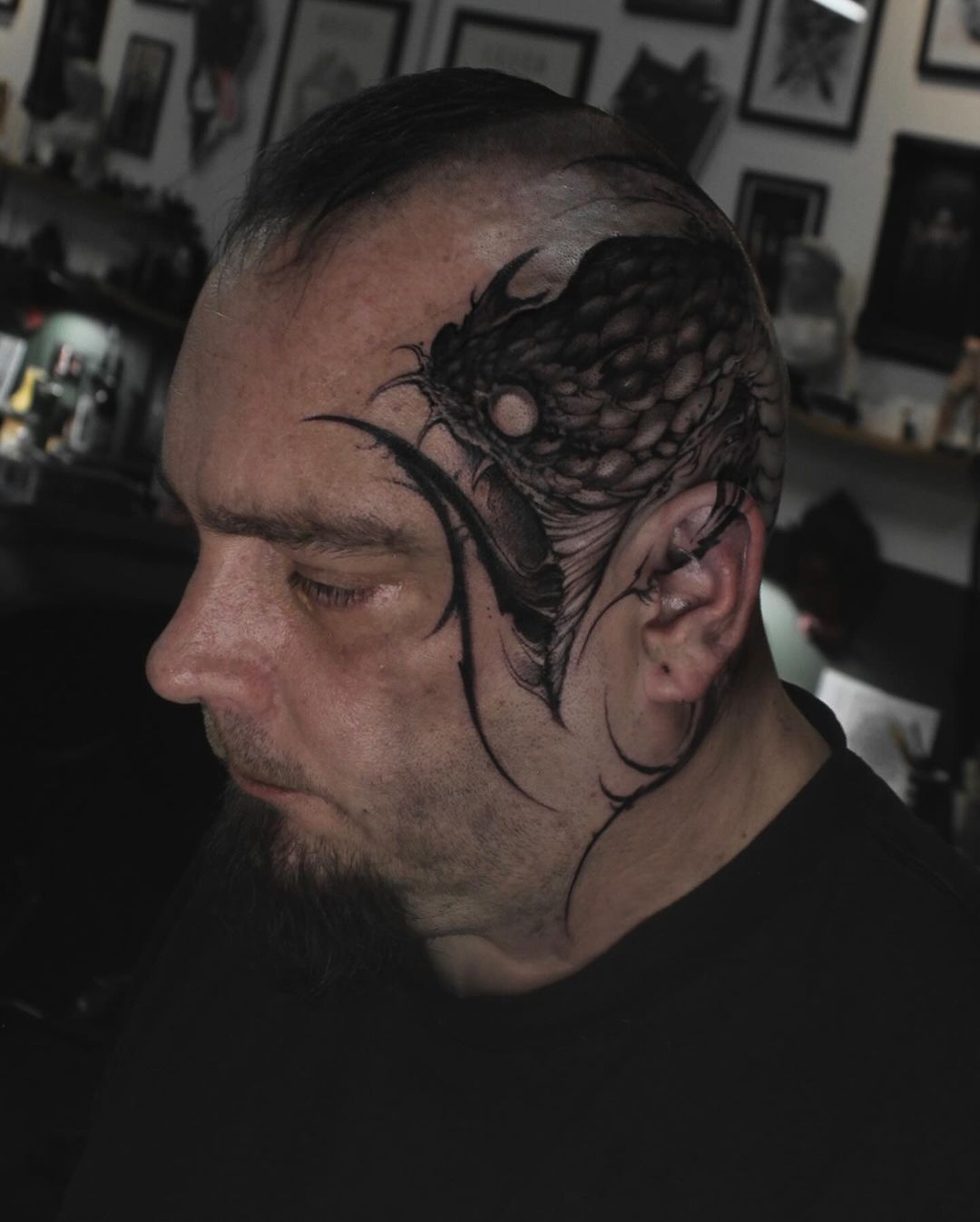Portfolio de NOAH Helder