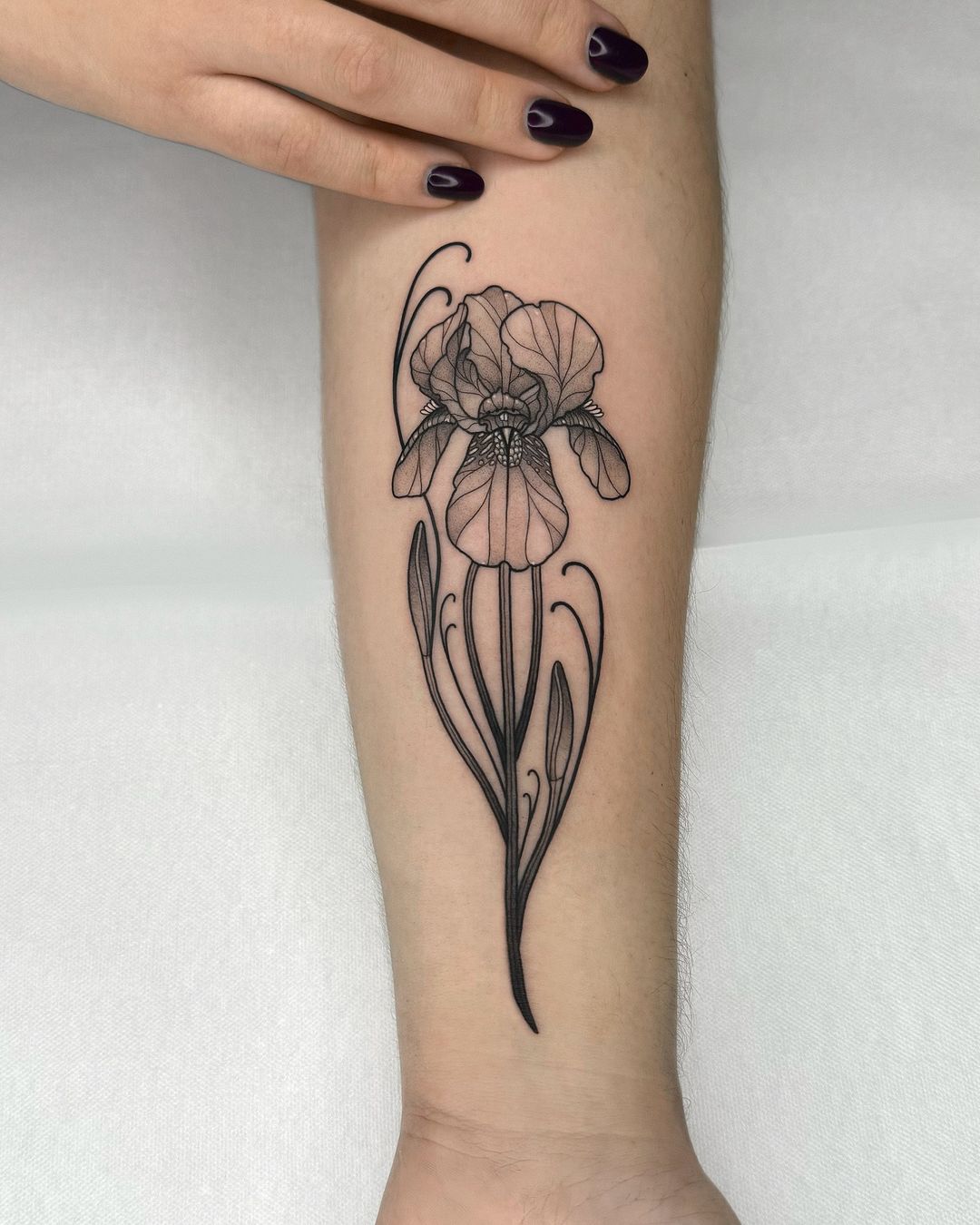 Tatouage par Ananda RIVE Black Neotraditional Tattoos In Paris