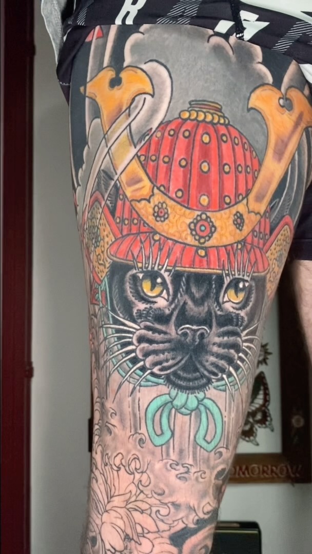 Portfolio de Ianis Letigre