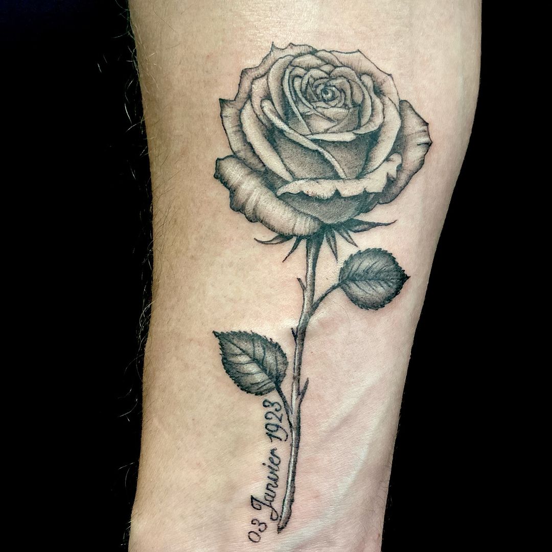 Portfolio de Jeff Kuro