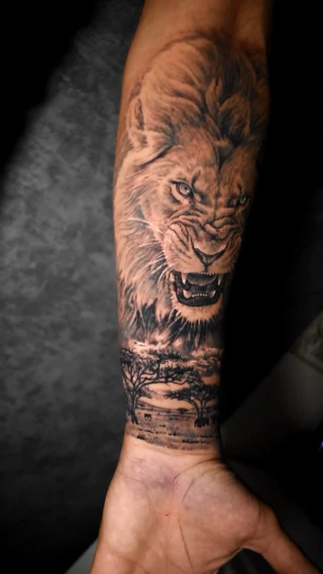 Portfolio de Angy Petit