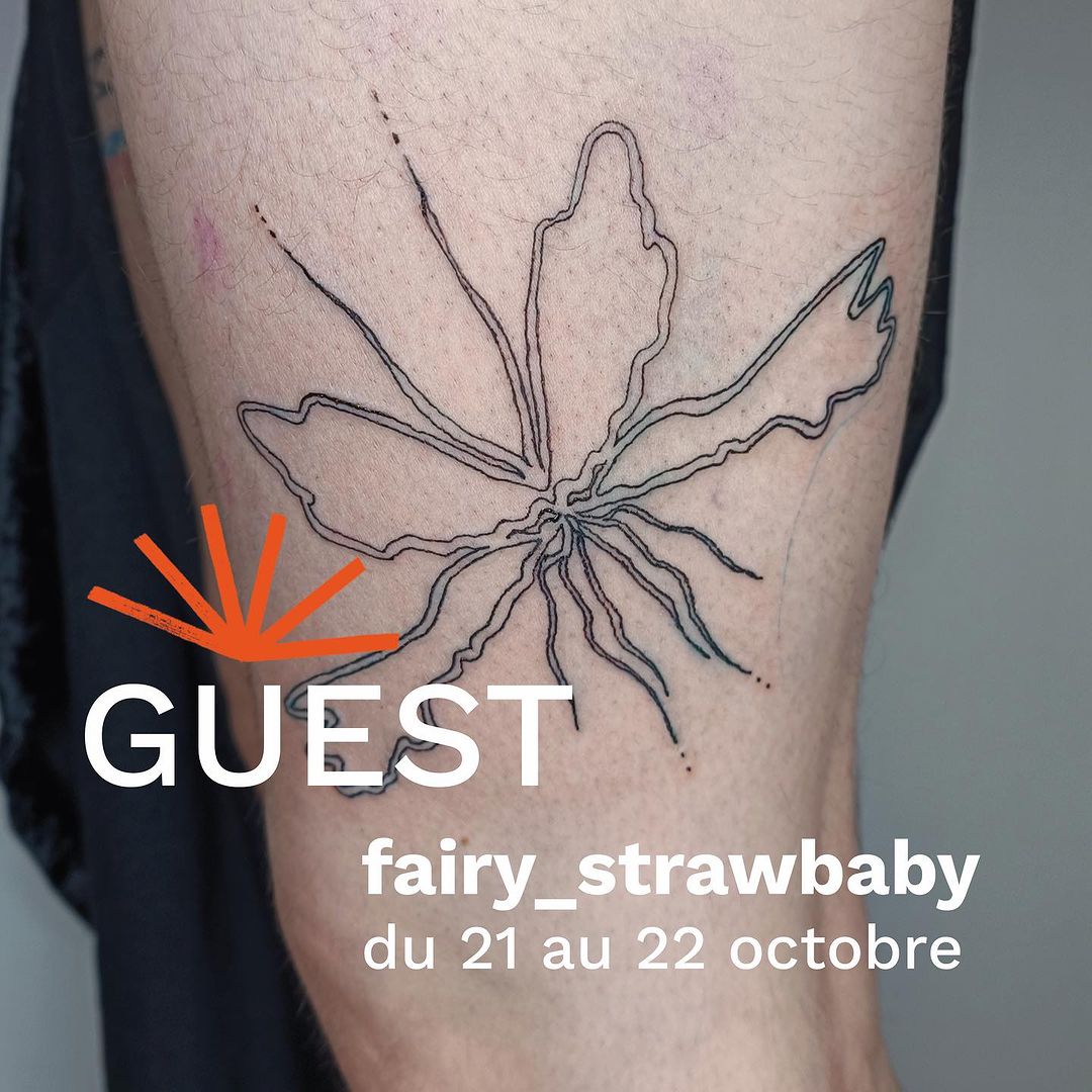 Portfolio de Fairy Strawbaby Ttt