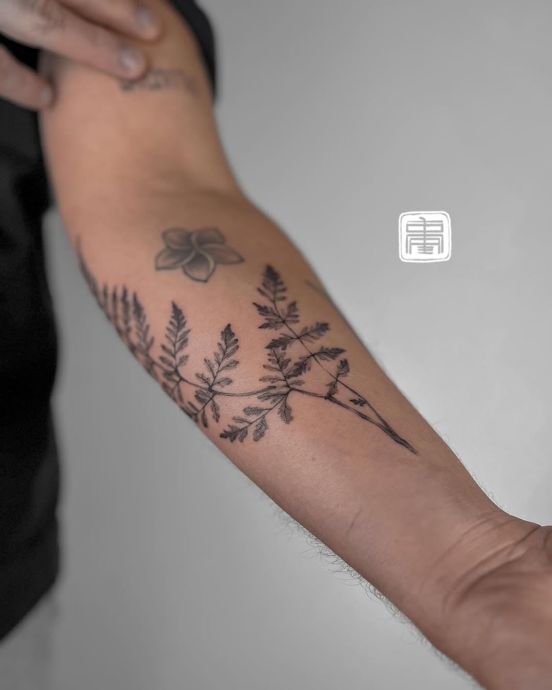 Travail de TOMA - Tattoo Marseille
