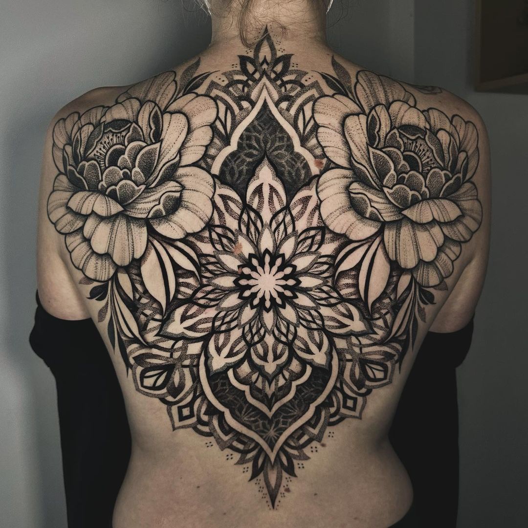Portfolio de NOOMI