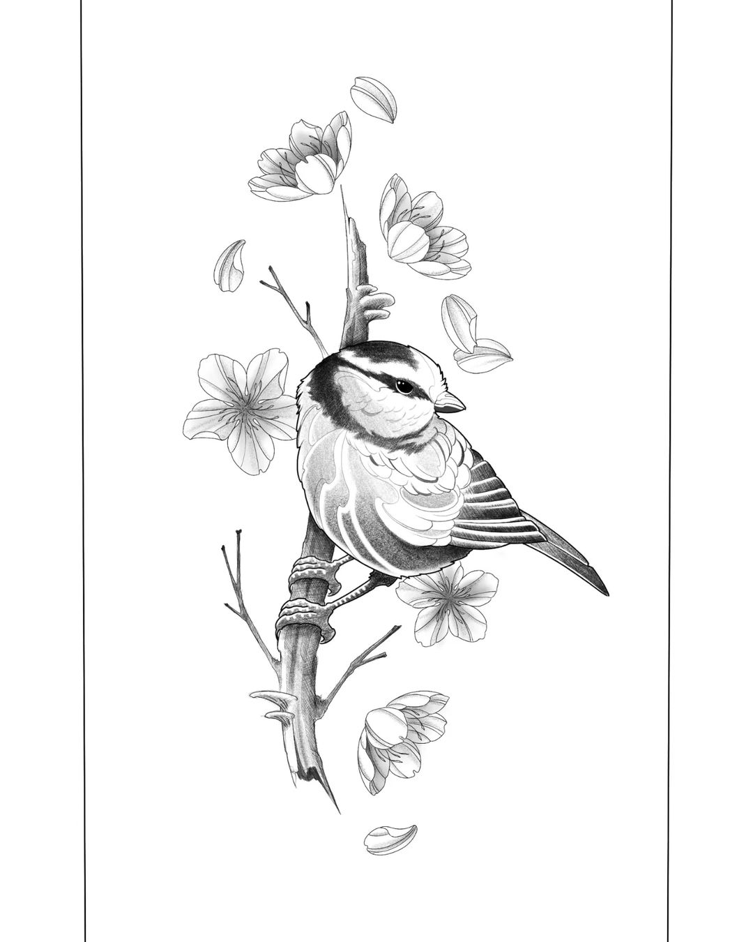 Portfolio de Zef Tatoueur