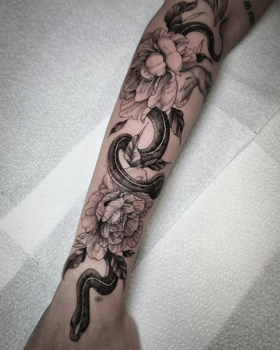 Portfolio de Zef Tatoueur