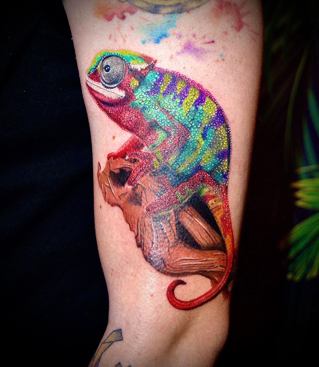 Portfolio de Tattoo Cannes Cesar Barreto