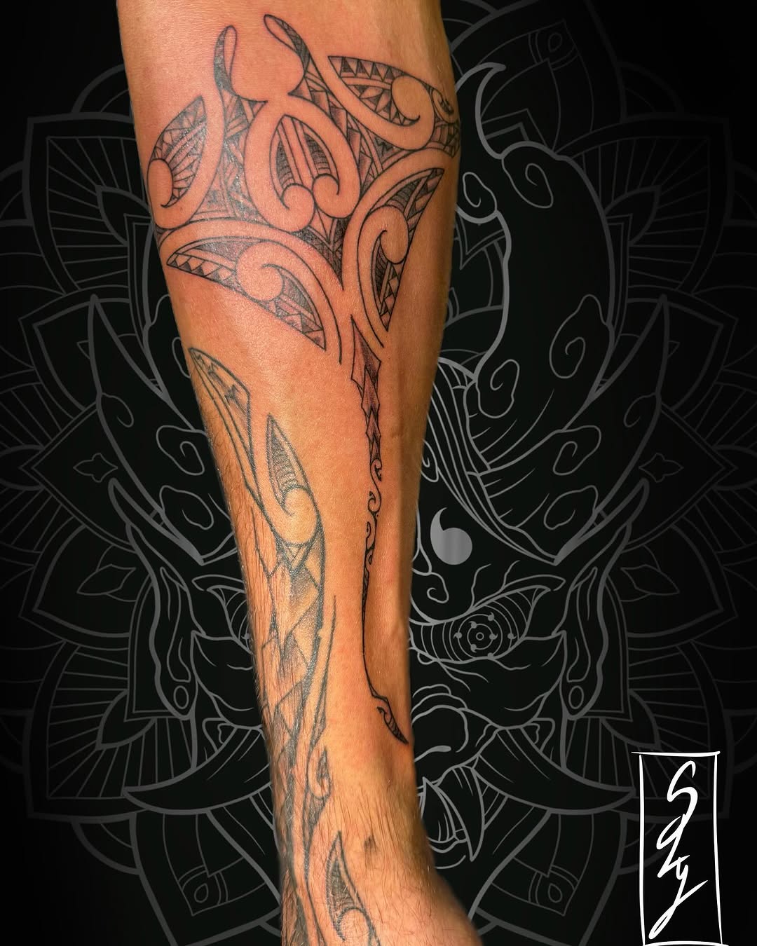 Portfolio de Sly Rabe