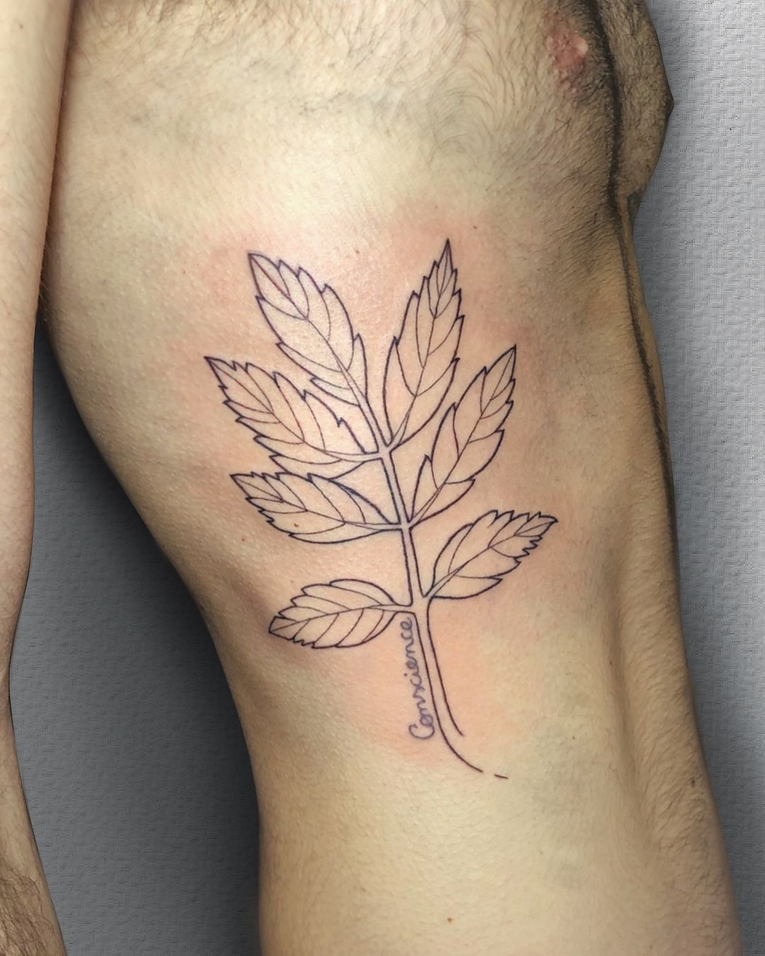 Portfolio de YOAN PATT