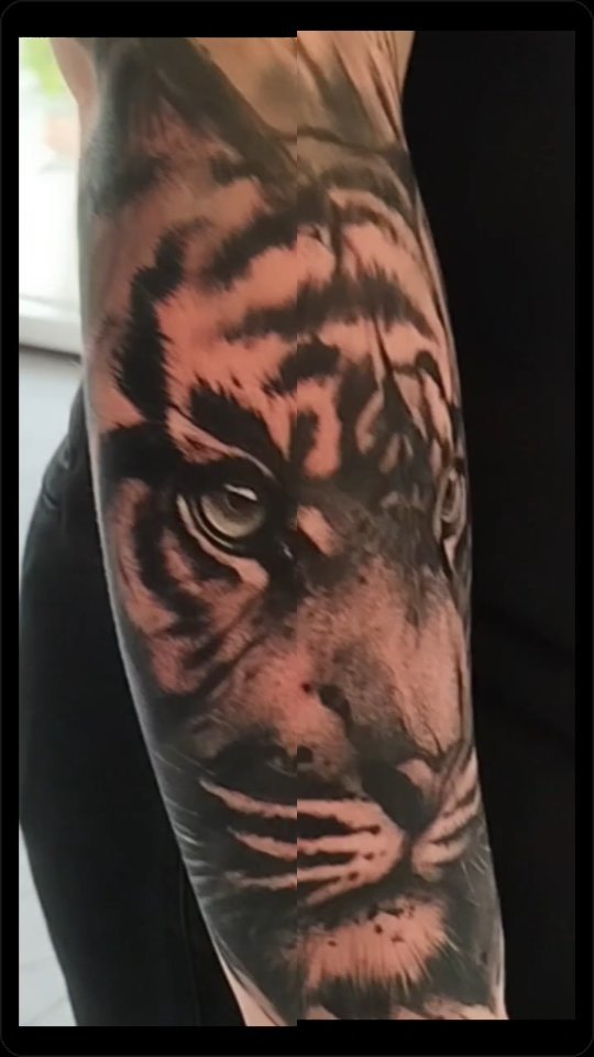 Portfolio de Cedric.Inktatts
