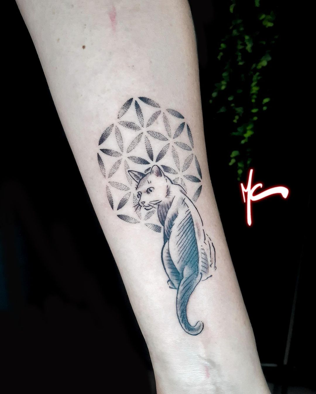 Portfolio de Martin Illimac Tatoueur Toulouse