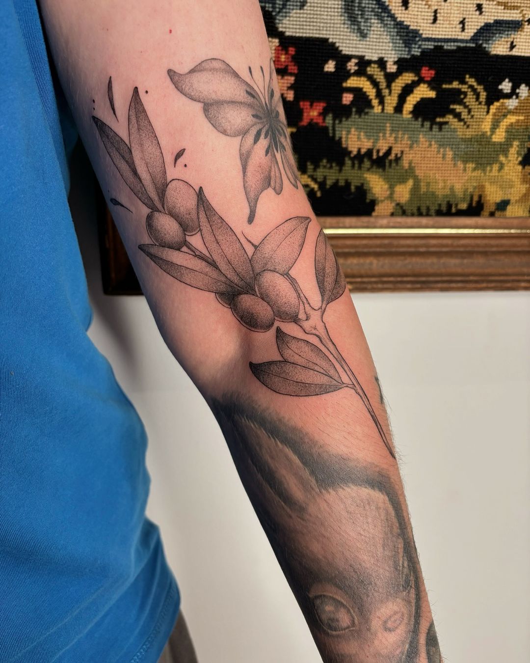 Portfolio de Naeryma