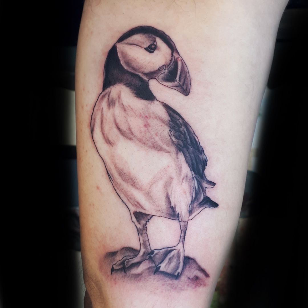 Portfolio de Gibs Tatouage