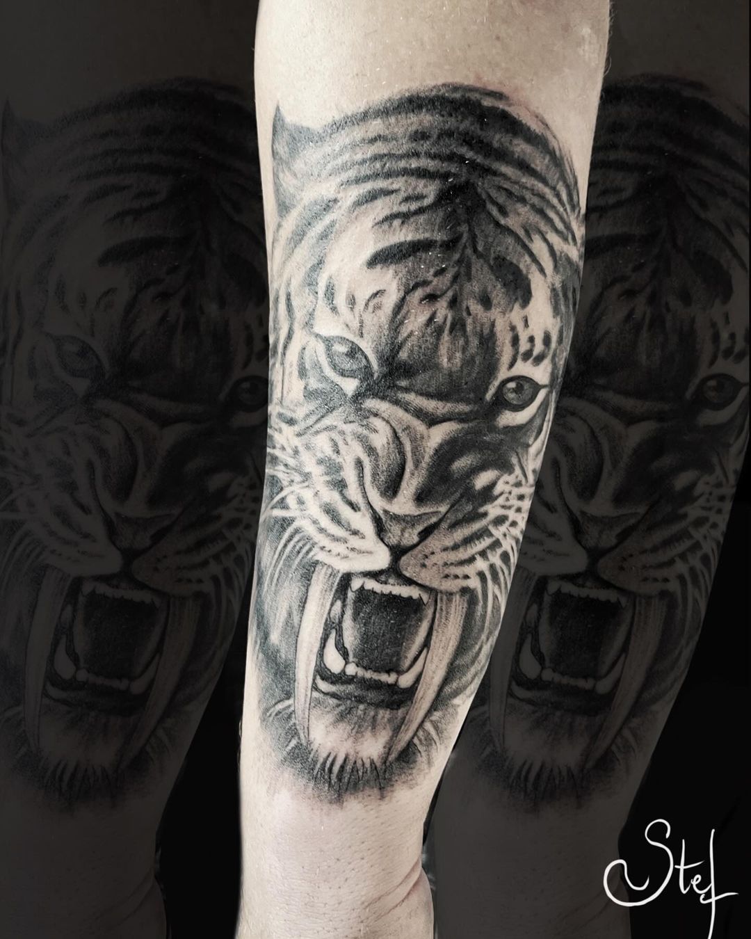 Portfolio de Stephanie Tatoueuse Toulouse