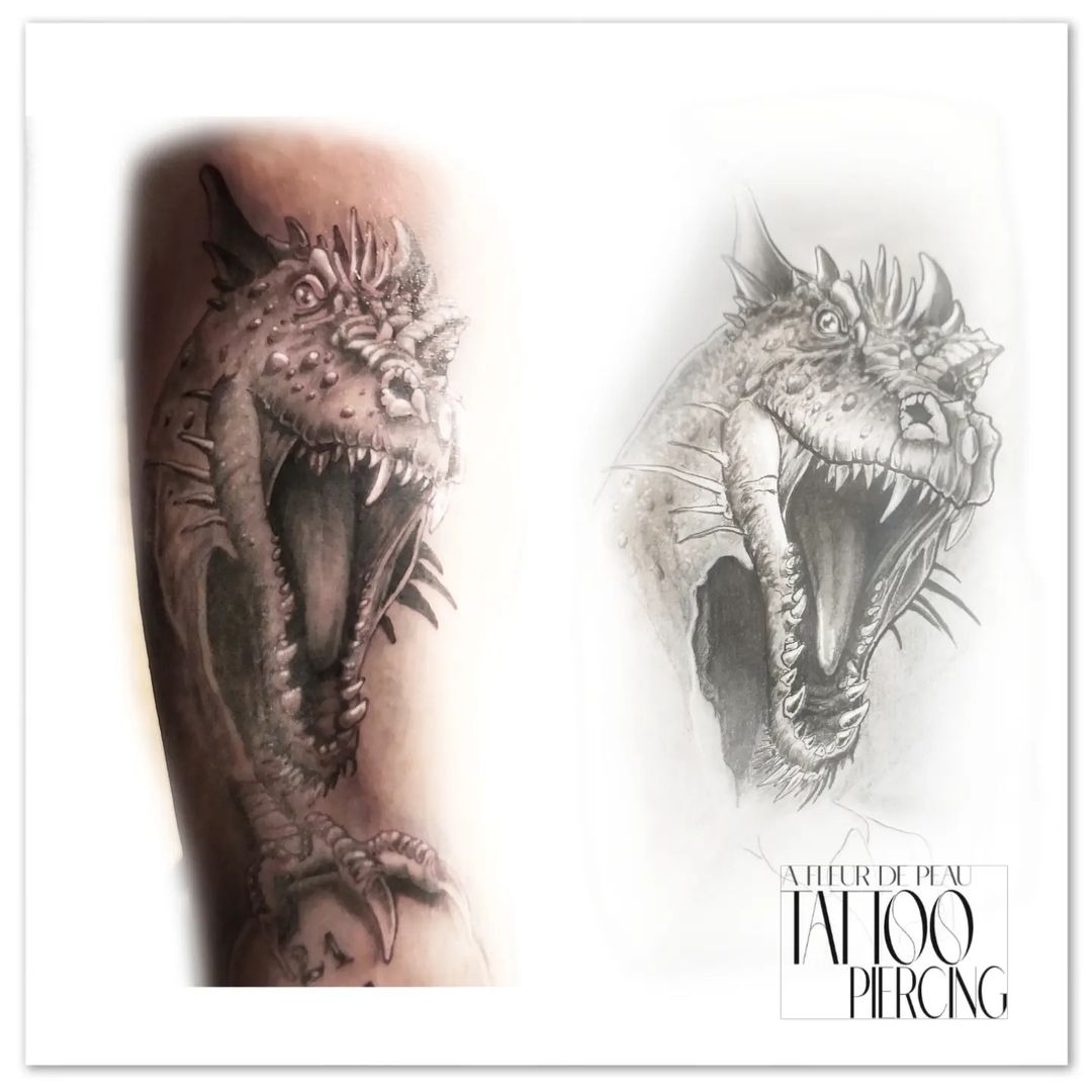 Portfolio de François Rampon