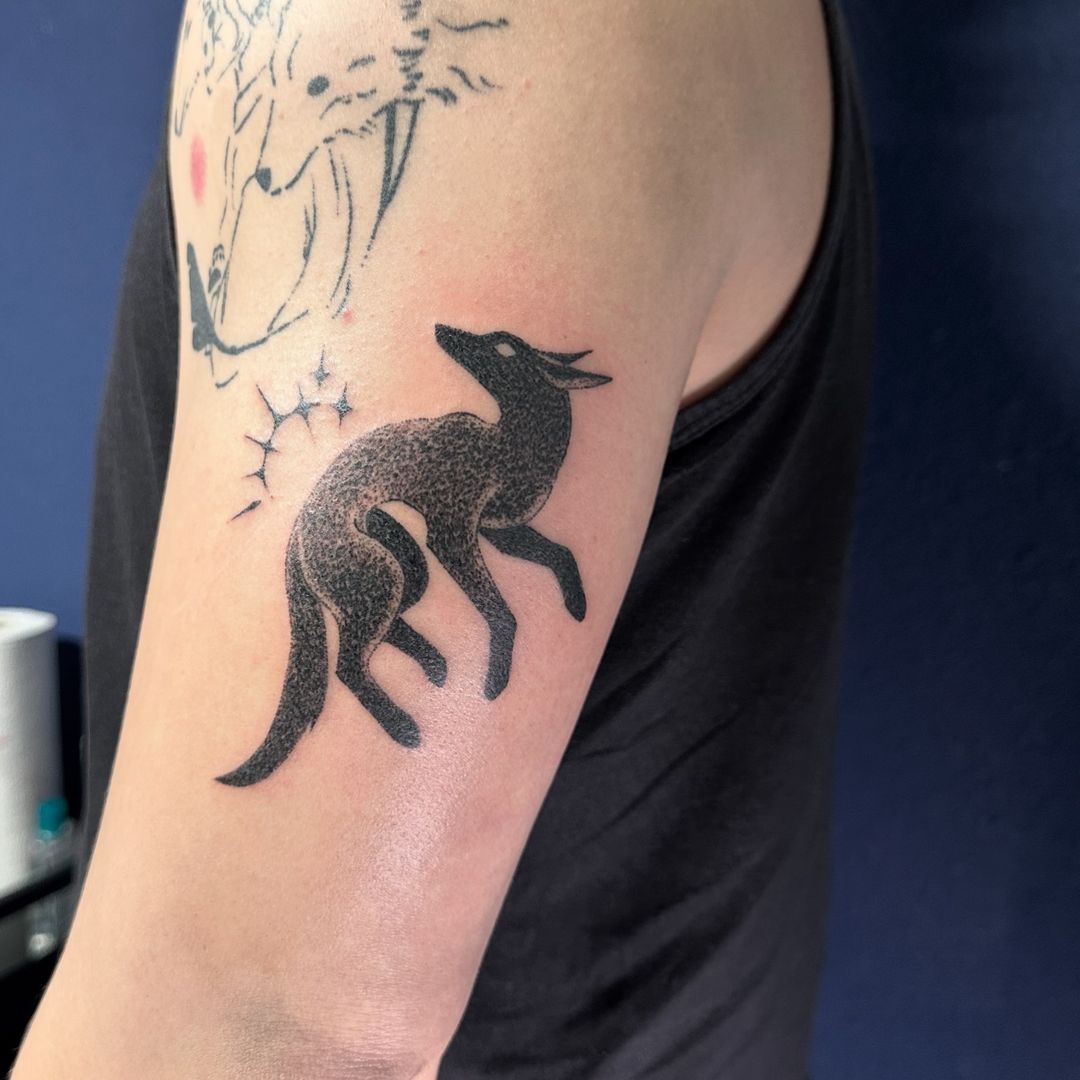 Portfolio de BLEU Eclipse