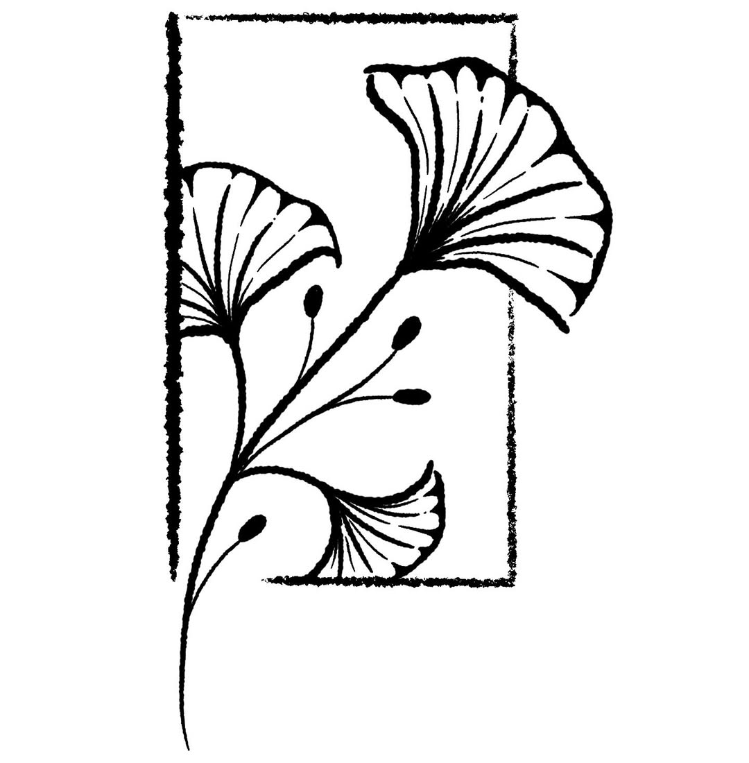 Portfolio de Gustave L