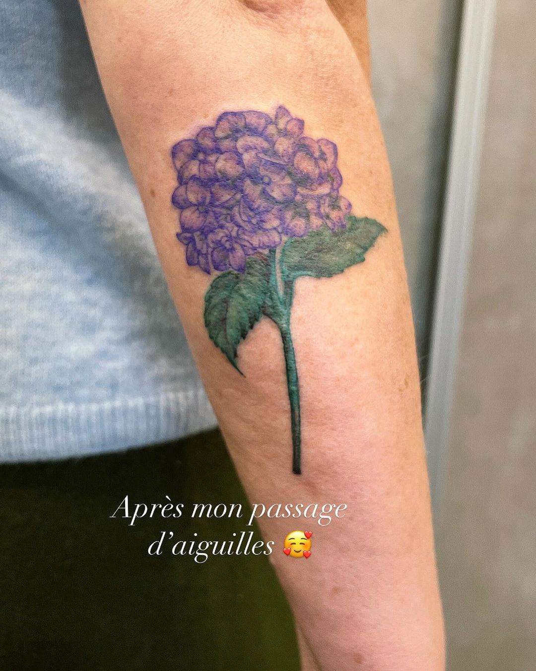 Portfolio de Sylvabelle Quevreux