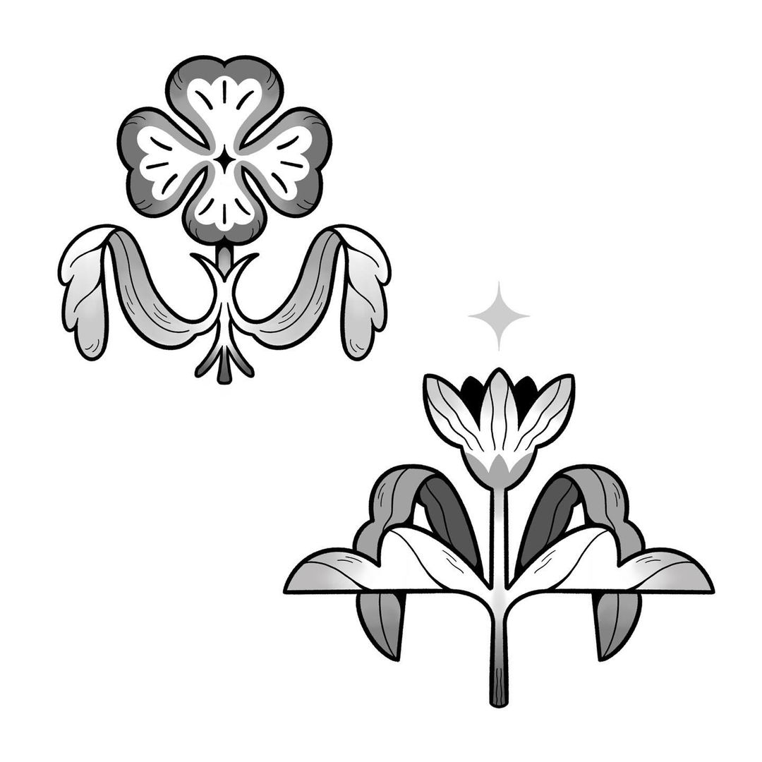 Portfolio de Fulifuli