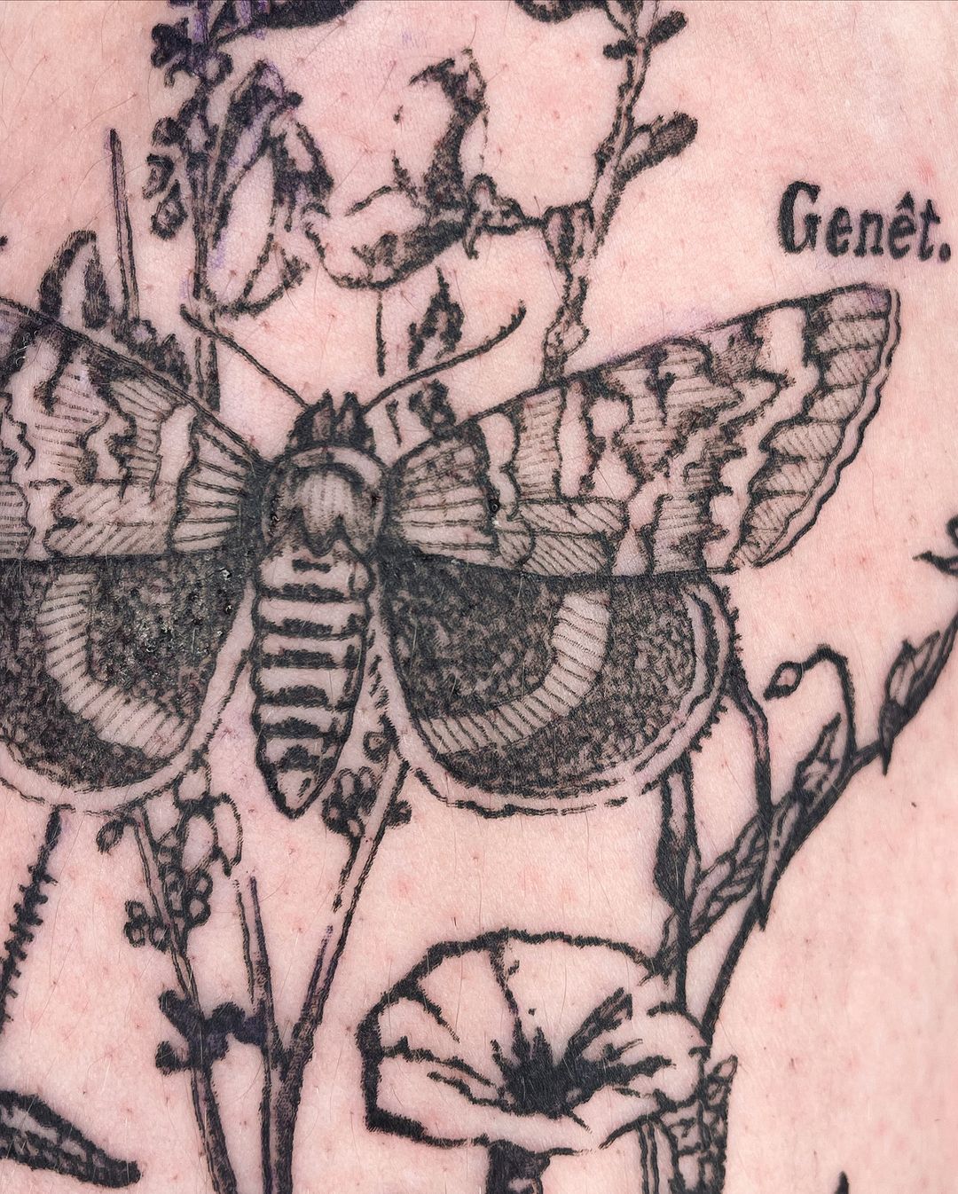 Travail de Emoks Tattoo