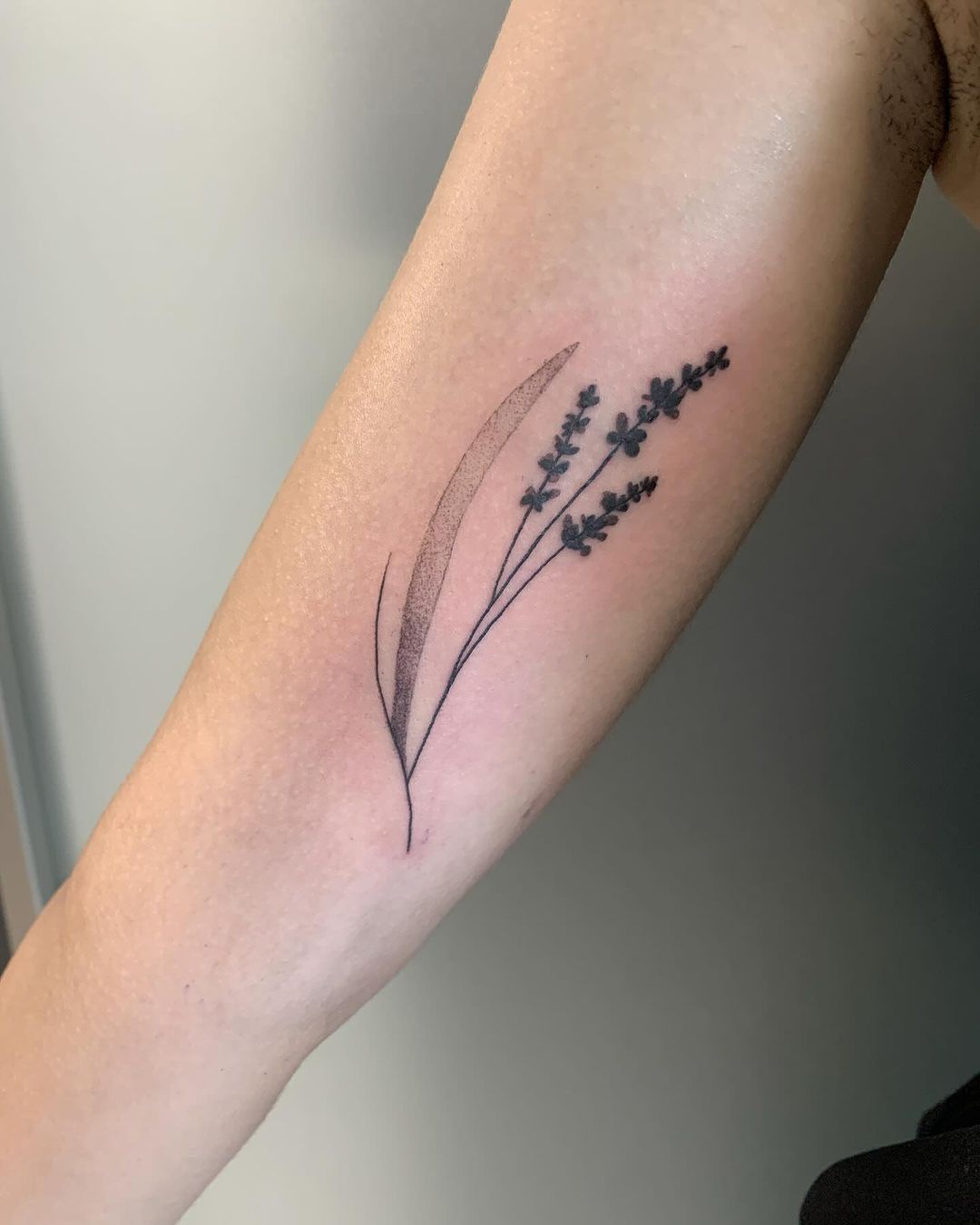 Portfolio de Majest Tattoo