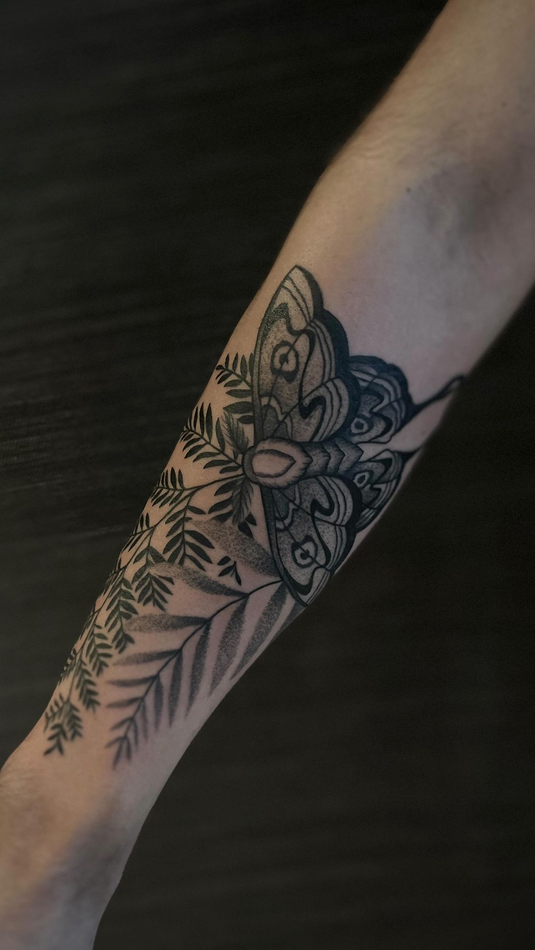 Portfolio de Onibi