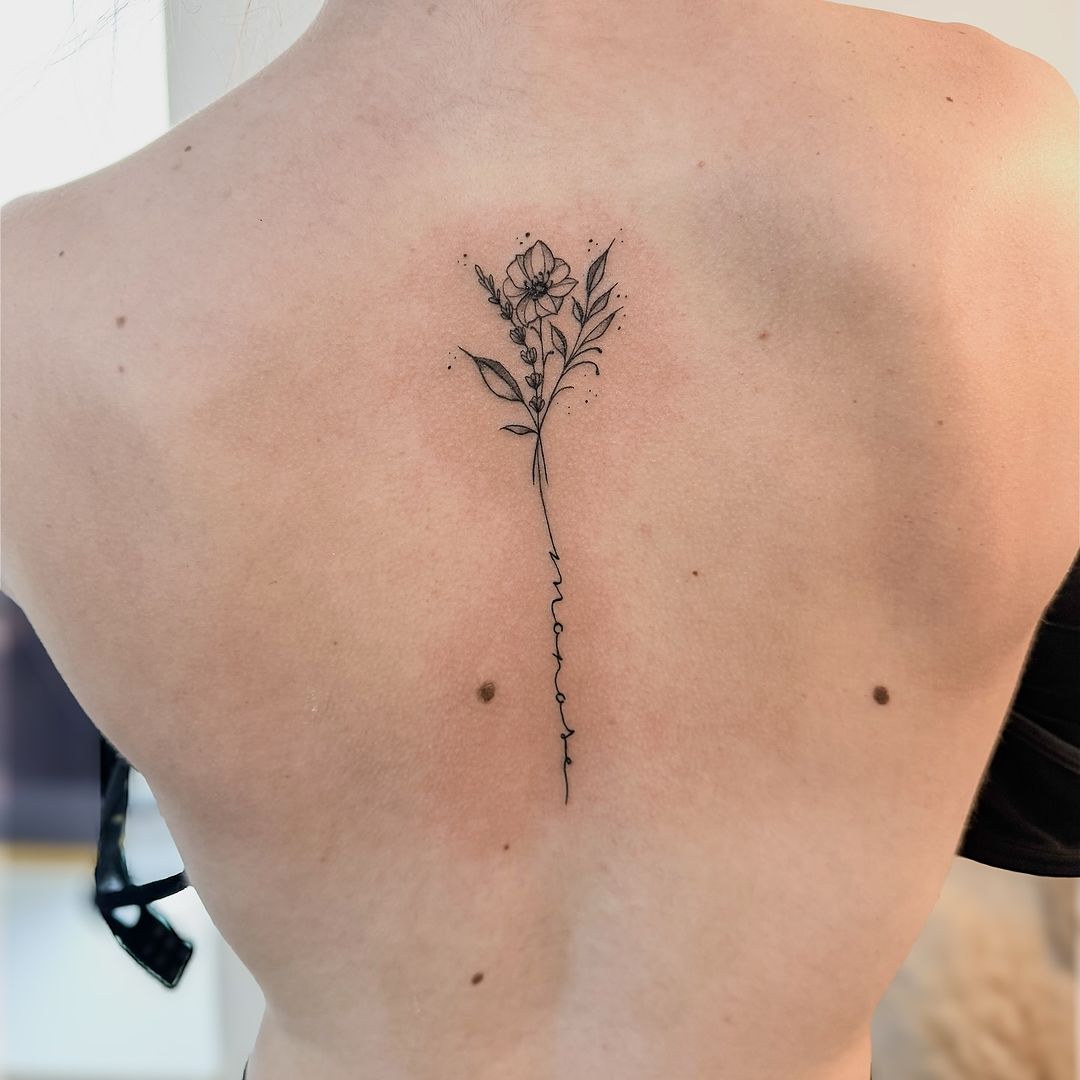 Portfolio de Blackrose