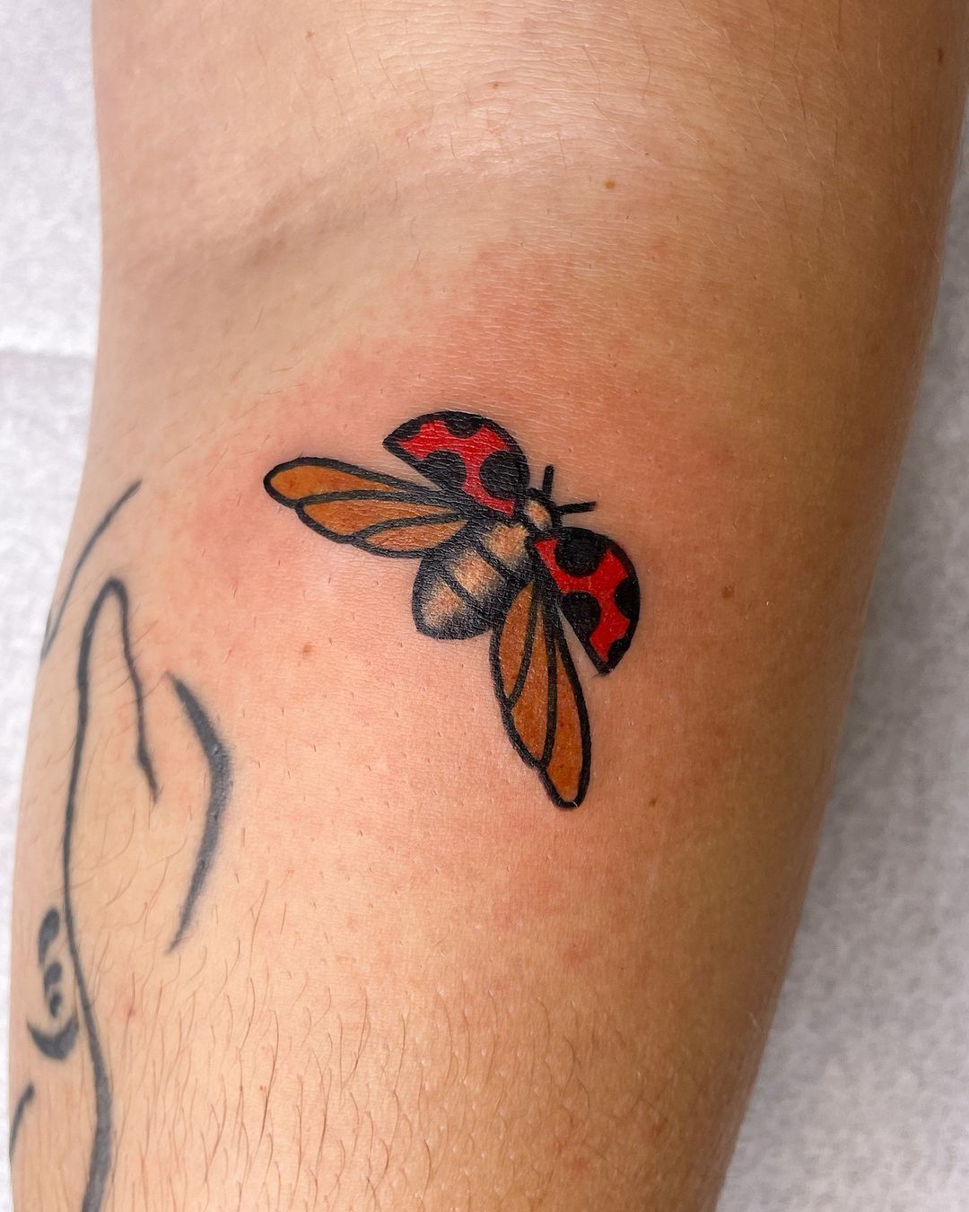 Portfolio de Laurie Perpete Tatouage