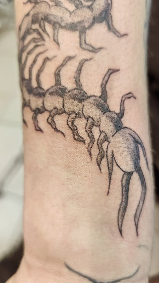 Portfolio de Eden Tattoo