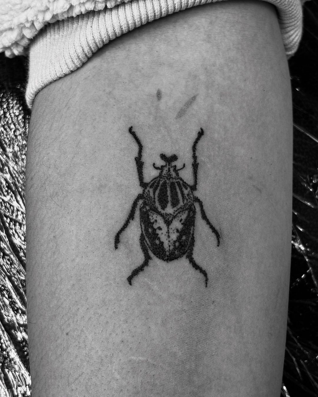 Tatouage par Pollux Lotus