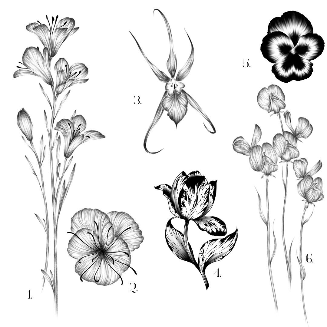 Portfolio de Naïs