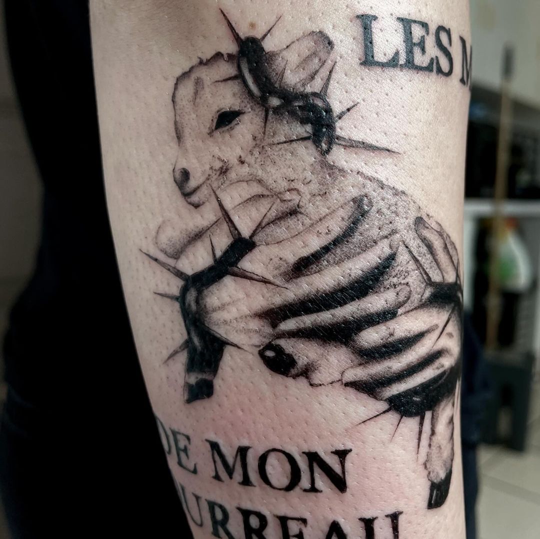Portfolio de Naïs