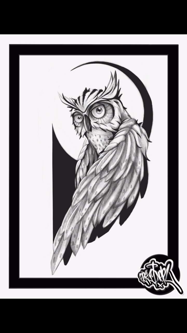 Portfolio de Oner Sork