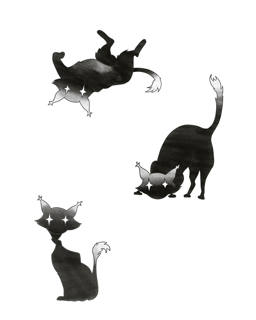 Portfolio de Nello