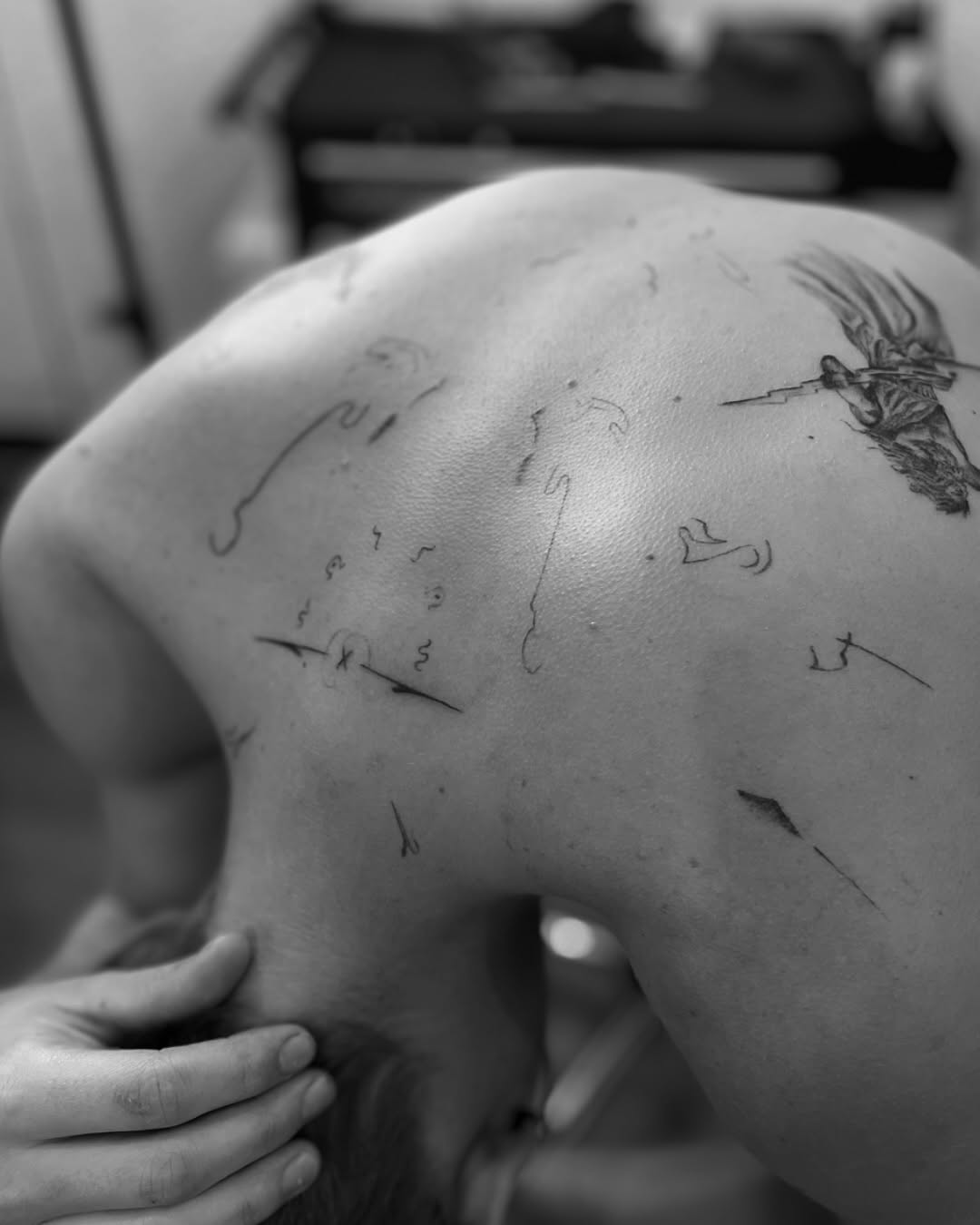 Portfolio de Lunetta Florent