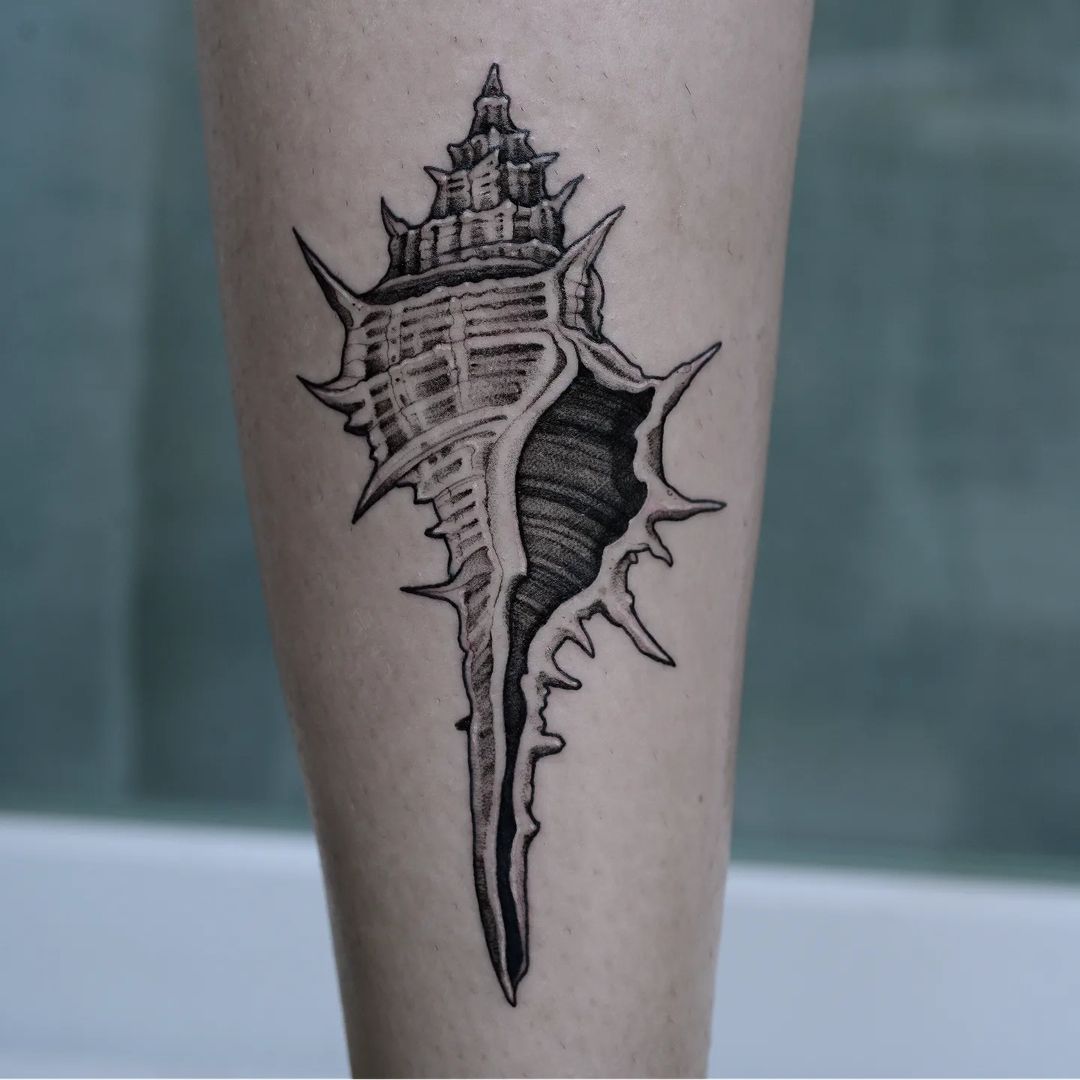 Portfolio de Lily Strange